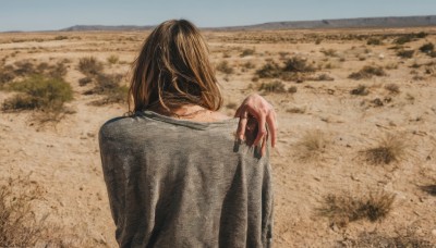 1girl,solo,long hair,brown hair,shirt,black hair,long sleeves,jacket,upper body,outdoors,sky,day,hand up,medium hair,from behind,blue sky,blood,back,facing away,field,blood on hands,desert,grey shirt,sand,horizon,dirty,photo background