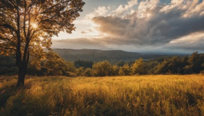 outdoors,sky,day,cloud,tree,blue sky,no humans,sunlight,cloudy sky,grass,nature,scenery,forest,sunset,mountain,field,landscape,mountainous horizon,hill,horizon