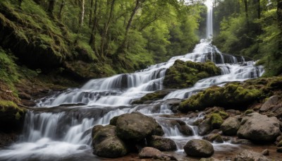 outdoors,day,water,tree,no humans,nature,scenery,forest,rock,river,waterfall,moss,stream,sunlight,landscape