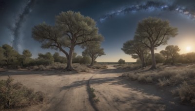 outdoors,sky,cloud,tree,no humans,night,shadow,grass,star (sky),nature,night sky,scenery,forest,starry sky,sunset,road,bush,path,water,plant,sand,sun,landscape,sunrise