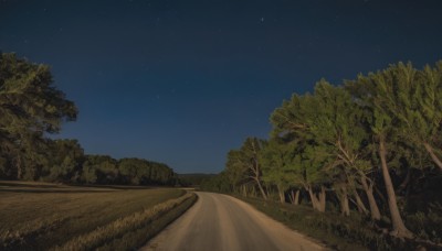 outdoors,sky,tree,no humans,night,grass,star (sky),nature,night sky,scenery,forest,starry sky,road,path,blue sky,bush