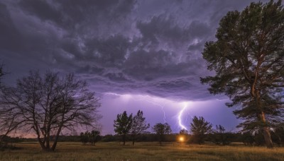 outdoors,sky,cloud,tree,no humans,cloudy sky,grass,nature,scenery,forest,lantern,electricity,bare tree,lightning,purple sky,mountain,horizon,field,landscape