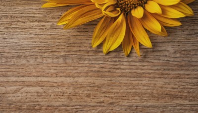 flower,outdoors,no humans,leaf,scenery,wooden floor,yellow flower,sunflower,still life,wooden table,wood,realistic