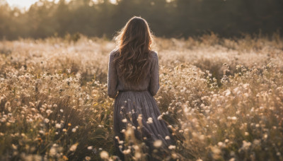 1girl, solo, long hair, brown hair, long sleeves, dress, standing, flower, outdoors, sky, from behind, blurry, depth of field, facing away, grey dress, field, flower field