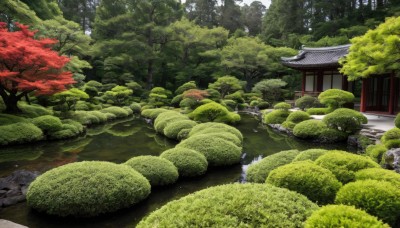 outdoors,day,water,tree,no humans,grass,building,nature,scenery,forest,rock,bush,architecture,east asian architecture,river,shrine,path,stone,stone lantern,pond