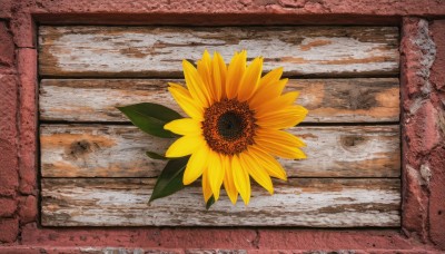 flower,outdoors,no humans,leaf,traditional media,scenery,yellow flower,sunflower,wall,still life,plant,water drop,picture frame