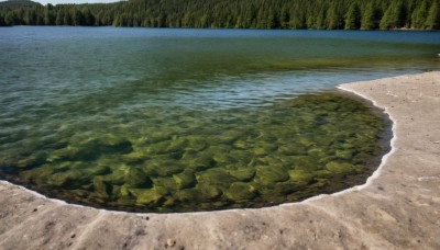 outdoors,day,water,tree,no humans,traditional media,beach,grass,nature,scenery,forest,rock,sand,road,river,landscape,lake,shore,sky,blue sky,ocean,waves,island