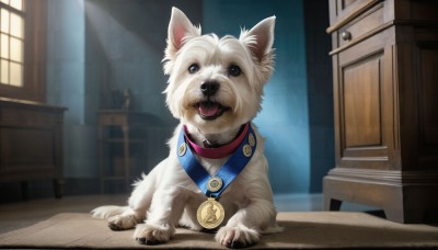 HQ,solo,open mouth,blue eyes,jewelry,tongue,indoors,tongue out,necklace,black eyes,collar,no humans,window,animal,chair,table,sunlight,dog,realistic,door,animal focus,looking at viewer,sitting,blurry,wooden floor,red collar,animal collar