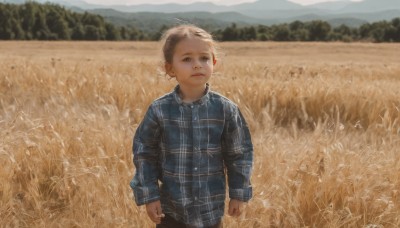 solo,looking at viewer,short hair,blue eyes,blonde hair,brown hair,shirt,long sleeves,1boy,closed mouth,standing,male focus,outdoors,day,collared shirt,pants,blurry,plaid,blurry background,blue shirt,child,nature,realistic,male child,field,plaid shirt,sky,tree,grass