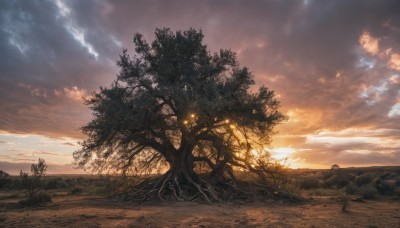 solo,1boy,outdoors,sky,cloud,tree,dutch angle,no humans,sunlight,cloudy sky,grass,nature,scenery,forest,sunset,sun,road,lamppost,twilight,landscape,path,plant