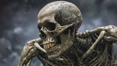 solo,open mouth,1boy,upper body,male focus,teeth,blurry,no humans,blurry background,1other,skull,realistic,ribs,skeleton,bone,alien,horror (theme)