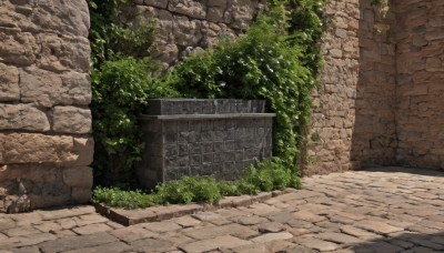 outdoors,day,tree,no humans,shadow,grass,plant,nature,scenery,rock,road,wall,ruins,brick wall,path,stone,stone floor,stone wall,brick,bush,moss