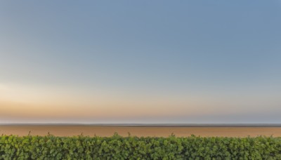 outdoors,sky,cloud,water,tree,blue sky,no humans,ocean,plant,nature,scenery,forest,sunset,horizon,bush,gradient sky,day