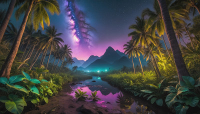 outdoors, sky, water, tree, dutch angle, no humans, night, grass, plant, star (sky), nature, night sky, scenery, starry sky, reflection, mountain, palm tree