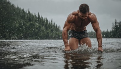 solo,short hair,black hair,1boy,underwear,male focus,thighs,outdoors,shorts,dark skin,water,blurry,tree,wet,muscular,facial hair,thick thighs,abs,dark-skinned male,underwear only,pectorals,muscular male,wet clothes,nature,bara,beard,snow,wading,forest,topless male,mature male,realistic,male underwear,splashing,river,photo background,leg hair,navel,closed mouth,nipples,full body,closed eyes,sky,kneeling,scar,cloudy sky,scar on face,partially submerged,large pectorals,undercut,chest hair,scar on chest,scar on arm,black male underwear,boxer briefs