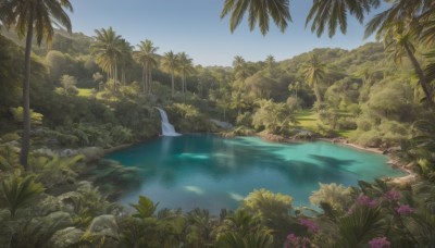 flower,outdoors,sky,day,water,tree,blue sky,no humans,plant,nature,scenery,forest,reflection,rock,palm tree,river,landscape,beach,bush,waterfall,lake,shore