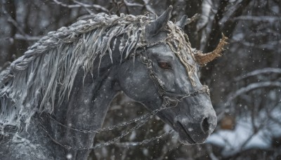 solo,red eyes,outdoors,horns,blurry,from side,tree,no humans,depth of field,blurry background,chain,animal,nature,snow,forest,snowing,realistic,animal focus,horse,bare tree,wings,signature,antlers