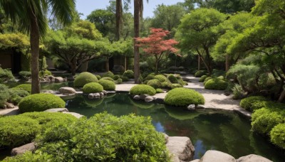 outdoors,sky,day,water,tree,blue sky,no humans,grass,nature,scenery,forest,rock,bush,river,moss,cloud,plant,stone,pond