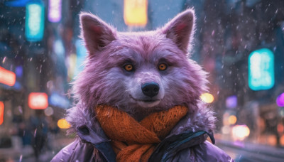 solo, looking at viewer, jacket, outdoors, signature, scarf, blurry, no humans, night, blurry background, animal, colored sclera, dog, city, animal focus, orange scarf