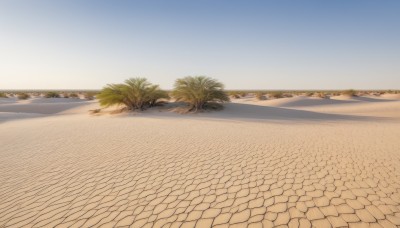 outdoors,sky,day,artist name,tree,blue sky,no humans,shadow,watermark,beach,plant,scenery,sunset,sand,palm tree,horizon,road,gradient sky,desert,water,ocean,shore