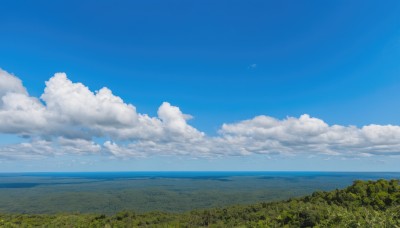 outdoors,sky,day,cloud,water,tree,blue sky,no humans,bird,ocean,cloudy sky,grass,nature,scenery,forest,horizon,field,summer,landscape,island