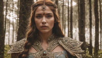 1girl,solo,long hair,looking at viewer,brown hair,hair ornament,brown eyes,jewelry,closed mouth,upper body,outdoors,armor,blurry,lips,dutch angle,depth of field,blurry background,tiara,shoulder armor,gem,portrait,nature,forest,pauldrons,circlet,realistic,nose,tree,sunlight