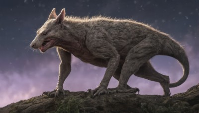 solo,open mouth,tail,full body,outdoors,sky,teeth,black eyes,from side,no humans,night,animal,fangs,grass,sharp teeth,claws,realistic,animal focus,whiskers,signature