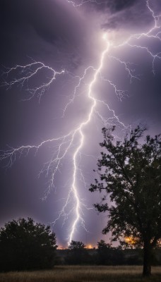 outdoors,sky,cloud,tree,no humans,night,cloudy sky,grass,fire,nature,scenery,forest,electricity,lightning,night sky,dark,landscape