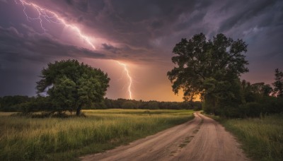 outdoors,sky,cloud,tree,no humans,cloudy sky,grass,nature,scenery,forest,sunset,electricity,road,bush,lightning,landscape,path,purple sky,horizon,field