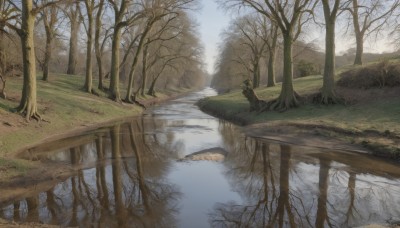 solo,1boy,outdoors,sky,day,signature,water,tree,no humans,grass,nature,scenery,forest,reflection,bare tree,river,landscape,lake,fog,cloud,path,reflective water