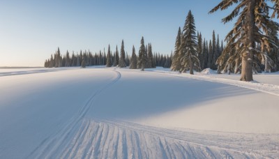 outdoors,sky,day,tree,blue sky,no humans,nature,scenery,snow,forest,mountain,road,winter,bare tree,landscape,footprints,pine tree,sand,gradient sky,desert