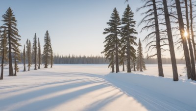 outdoors,sky,day,tree,blue sky,no humans,shadow,sunlight,nature,scenery,snow,forest,mountain,sun,road,winter,bare tree,sunrise,pine tree