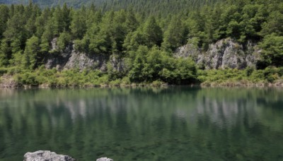 outdoors,day,water,tree,no humans,traditional media,grass,nature,scenery,forest,reflection,rock,river,landscape,sky,lake