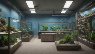 sky,day,indoors,tree,no humans,window,plant,building,scenery,potted plant,ceiling,ceiling light,water,night,fish,underwater,light,coral,aquarium