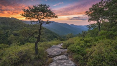 outdoors,sky,cloud,tree,no humans,cloudy sky,grass,nature,scenery,forest,sunset,rock,mountain,road,river,evening,landscape,mountainous horizon,gradient sky,orange sky,path,hill,water,sunlight,plant,horizon