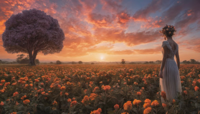 1girl, hair ornament, dress, standing, flower, outdoors, sky, cloud, from behind, tree, cloudy sky, scenery, sunset, sun, field, flower field