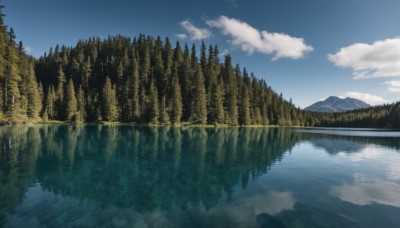 outdoors,sky,day,cloud,water,tree,blue sky,no humans,cloudy sky,grass,nature,scenery,forest,reflection,mountain,river,landscape,lake,reflective water,night,star (sky)