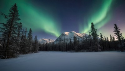 outdoors,sky,tree,no humans,night,star (sky),nature,night sky,scenery,snow,forest,starry sky,mountain,winter,bare tree,landscape,pine tree,aurora,water,lake