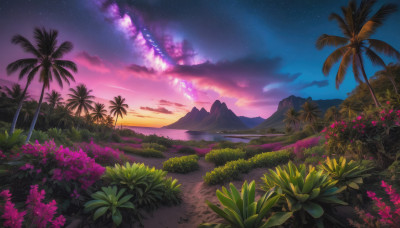 flower, outdoors, sky, cloud, tree, no humans, night, grass, plant, star (sky), nature, night sky, scenery, starry sky, sunset, mountain, palm tree, horizon