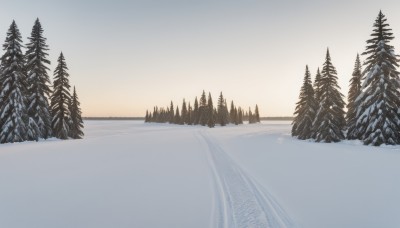 outdoors,sky,water,tree,no humans,nature,scenery,snow,forest,sunset,mountain,winter,bare tree,landscape,lake,pine tree,monochrome,cloud,ocean,reflection,sun,horizon