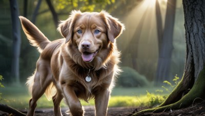 HQ,solo,looking at viewer,open mouth,blue eyes,jewelry,outdoors,day,tongue,artist name,signature,tongue out,necklace,blurry,tree,no humans,blurry background,animal,watermark,sunlight,nature,forest,dog,light rays,realistic,sunbeam,animal focus,dated,fangs,grass,plant,web address