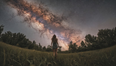 1girl, solo, long hair, outdoors, sky, cloud, from behind, tree, night, grass, star (sky), night sky, scenery, starry sky