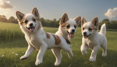 open mouth,blue eyes,full body,flower,outdoors,sky,day,tongue,cloud,tongue out,black eyes,tree,blue sky,no humans,animal,fangs,cloudy sky,grass,white flower,nature,walking,running,dog,realistic,animal focus,looking at viewer,brown eyes,signature,bug,forest,field