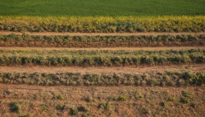 outdoors,sky,day,tree,no humans,traditional media,grass,plant,nature,scenery,forest,road,field,landscape,from above