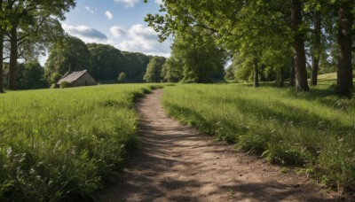 outdoors,sky,day,cloud,tree,blue sky,no humans,cloudy sky,grass,nature,scenery,forest,mountain,road,bush,field,house,landscape,path,hill,building