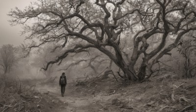 1girl,solo,long sleeves,1boy,standing,monochrome,weapon,greyscale,male focus,outdoors,japanese clothes,sword,kimono,from behind,tree,grass,nature,scenery,forest,walking,wide shot,bare tree,grey theme