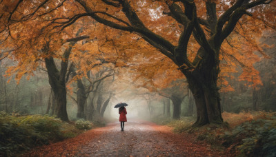 1girl, solo, holding, standing, outdoors, from behind, tree, leaf, umbrella, nature, scenery, forest, holding umbrella, road, autumn leaves, autumn, path, red umbrella