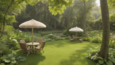 outdoors,day,tree,no humans,leaf,chair,sunlight,grass,plant,nature,scenery,forest,bush,mushroom,green theme,moss,shadow,umbrella,table,rock,shade,landscape,path,tree stump