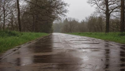 outdoors,sky,day,cloud,tree,no humans,grass,nature,scenery,forest,reflection,road,bush,bare tree,puddle,fog,path,cloudy sky,realistic,grey sky