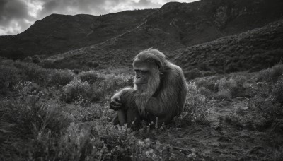 solo,long hair,1boy,monochrome,greyscale,male focus,outdoors,sky,cloud,no humans,facial hair,cloudy sky,grass,scenery,beard,mountain,field,old,old man,flower,animal,nature,realistic,giant